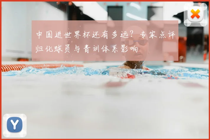 中国进世界杯还有多远？专家点评归化球员与青训体系影响