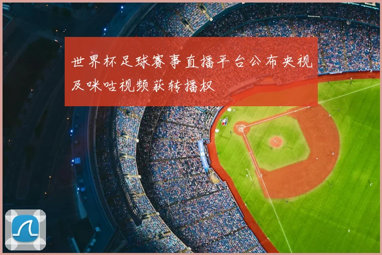 世界杯足球赛事直播平台公布央视及咪咕视频获转播权