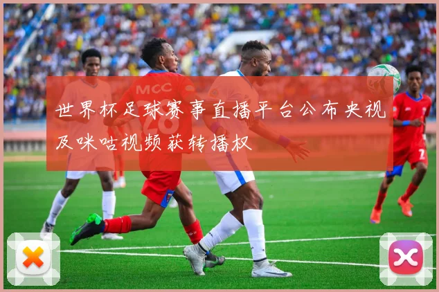 世界杯足球赛事直播平台公布央视及咪咕视频获转播权