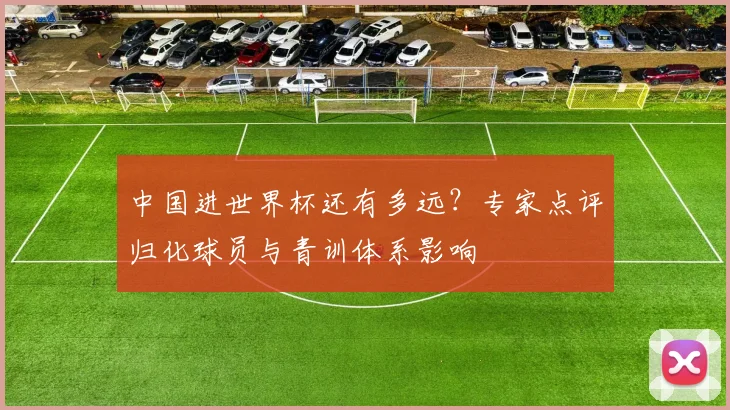 中国进世界杯还有多远？专家点评归化球员与青训体系影响