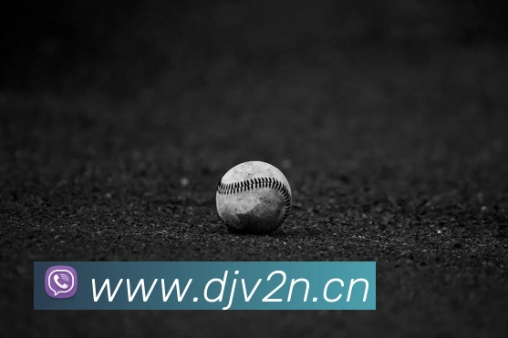 世界杯官方网络平台平台生态图